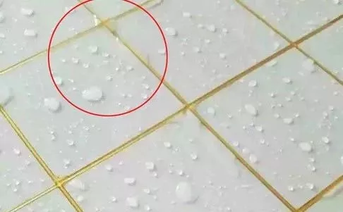 瓷磚美縫 瓷磚美縫